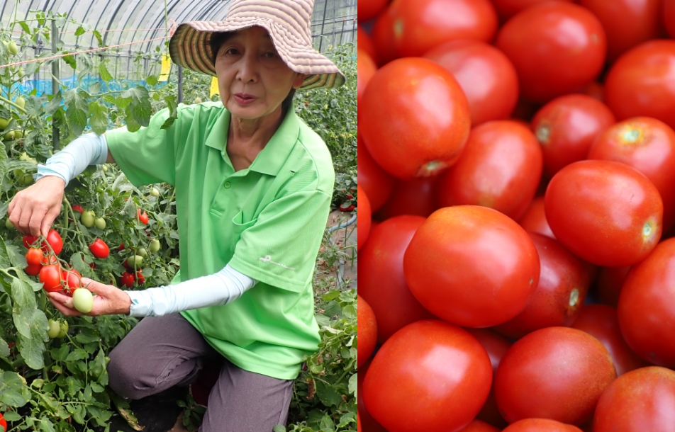 生産者(佐々木 かよさん)