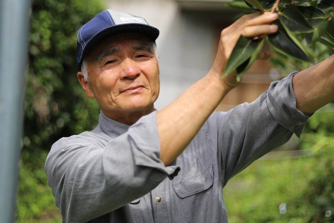生産者(佐々木 裕一さん)